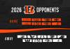 Are the Bengals Playoff Contenders Despite Concerns on Defense