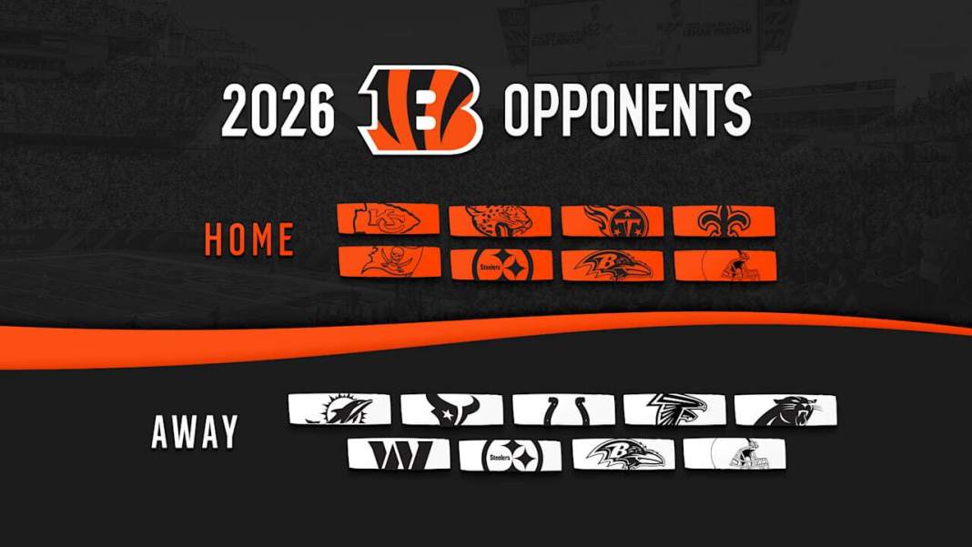 Are the Bengals Playoff Contenders Despite Concerns on Defense Are the Bengals Playoff Contenders Despite Concerns on Defense
