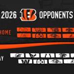 Are the Bengals Playoff Contenders Despite Concerns on Defense